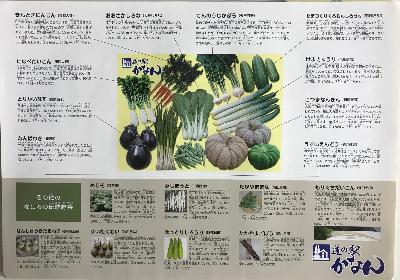 【図２】道の駅かなんオリジナル伝統野菜パズル（裏）